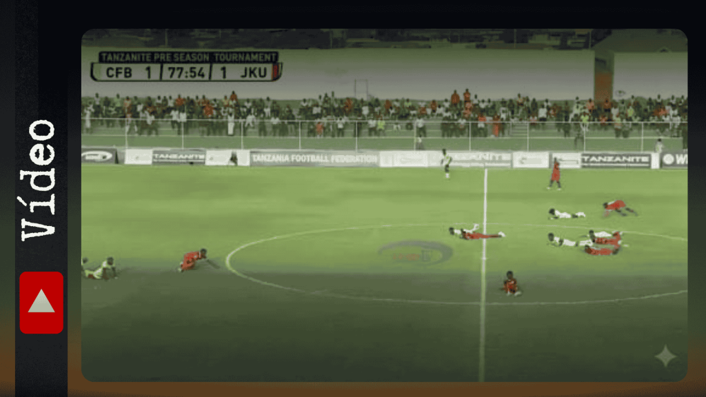 Partida de futebol na Tanzânia interrompida por enxame de abelhas