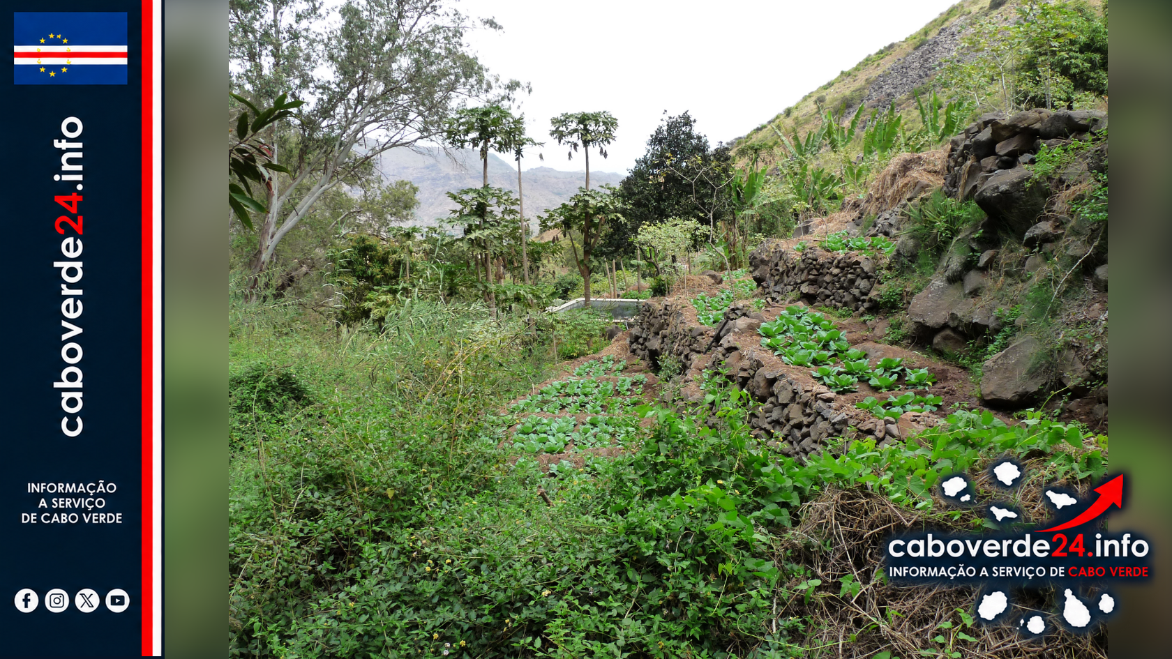 Hortaliças cultivadas em terraços no Pico da Antónia, ilha de Santiago, Cabo Verde. Fotografia de arquivo de 18 de fevereiro de 2012; não identifica beneficiários do programa.