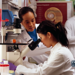 Imagem de arquivo — investigadores num laboratório. Fotografia do Instituto Nacional do Cancro dos Estados Unidos, disponível no Wikimedia Commons; não documenta o lançamento da IARC-MonDO.