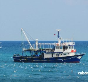IMG-20260725-WA0009