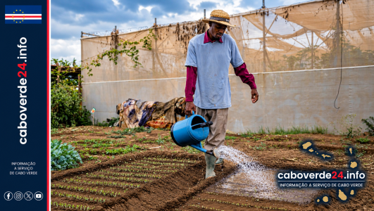 Fundo internacional aprova programa de 27,8 milhões de dólares para água e agricultura em Cabo Verde ​“O PRO-ÁGUA passou da fase de preparação para a aprovação formal pelo Fundo Internacional de Desenvolvimento Agrícola, com investimentos destinados a melhorar o acesso à água e tornar a agricultura mais resiliente.”