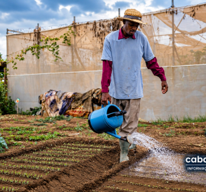 Fundo internacional aprova programa de 27,8 milhões de dólares para água e agricultura em Cabo Verde ​“O PRO-ÁGUA passou da fase de preparação para a aprovação formal pelo Fundo Internacional de Desenvolvimento Agrícola, com investimentos destinados a melhorar o acesso à água e tornar a agricultura mais resiliente.”