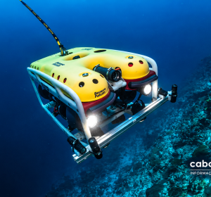 Cabo Verde quer avançar para robótica submarina e monitorização contínua do oceano ​“Robótica submarina, biotecnologia marinha e sistemas de observação permanente estão entre as áreas que Cabo Verde pretende desenvolver para conhecer e acompanhar melhor o seu espaço marítimo.”