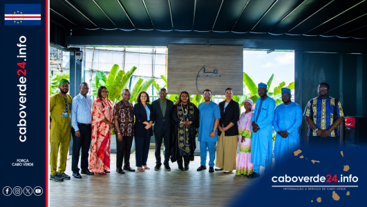Cabo-verdiana Elsa Fernandes assume papel de destaque na segurança da aviação na África Ocidental ​“A responsável cabo-verdiana é vice-presidente do Comité Técnico de uma organização regional que trabalha para reforçar a supervisão da segurança da aviação civil em sete países da África Ocidental.”